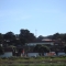 Picture 003.jpg