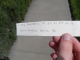Favorite Fortune BACK