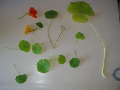 P1010003.JPG