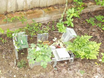 Comp Planter 1.JPG