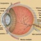 eye.jpeg