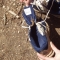 Shoe Lizard
