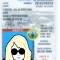 artistic license