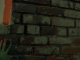 brick wall