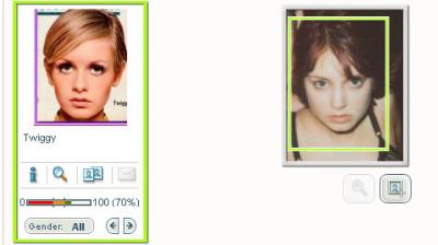 twiggy