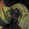 scarfoncat.jpg