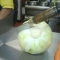 Cabbage attack