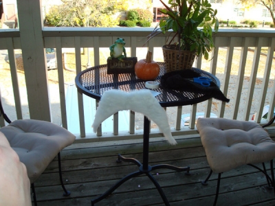 yay, the magnet works!