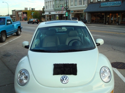 V Dub with Hitler Stash...