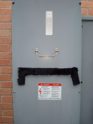 this one has a nose.