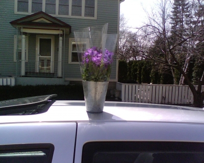 zeee plant on my car.