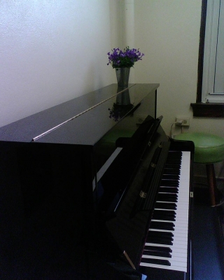 Practice room with purple plant.