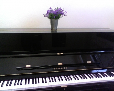 Purple!