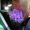 The plant!