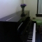Practice room with purple plant.