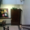My hanging plant  