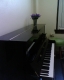 Practice room with purple plant.