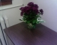 random plant... I didn't put it there.