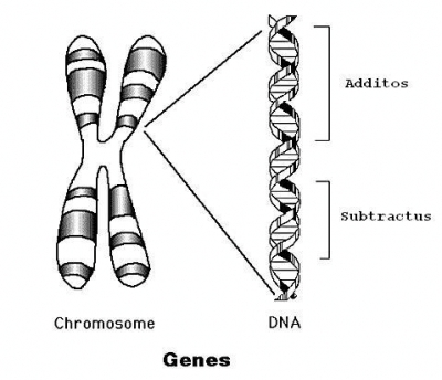 Abacus Genetics.JPG Abacus Genetics.JPG