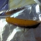 DSC00009.JPG