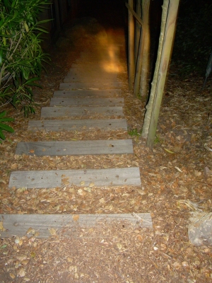 The descent