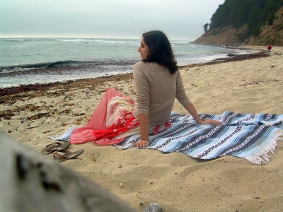 mexican blanket it up.jpg