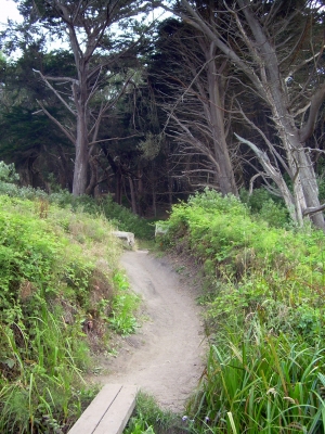 moss beach trail.jpg