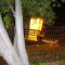 The Fort