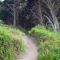 moss beach trail.jpg