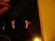 first drop.JPG