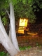 The Fort