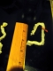 Measuring Bex.jpg