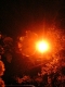 Night rise