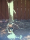 splash.jpg