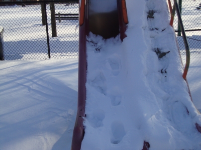 DSC01481.JPG