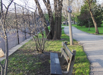 The bench at its slight backwards tilt.