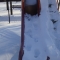 DSC01481.JPG