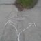 Two paths diverged in a park...