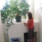 Watering the ficus