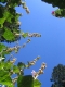 Bugs eye view 