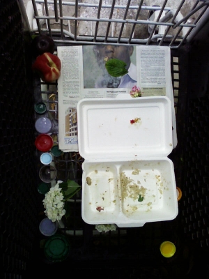 Above View