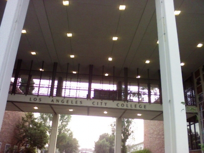 LACC LACC