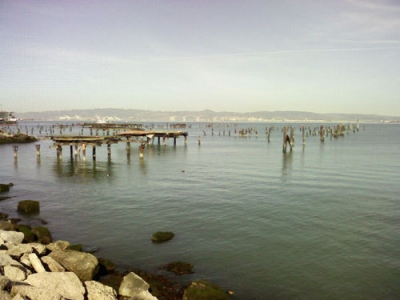 Dilapidated Pier Dilapidated Pier