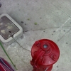 Hydrant?