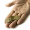 hand_money.jpg