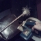 Feathers! Feathers!