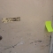 PP-Door.jpg