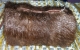 Genuine Beaver Muff