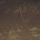 marks the spot