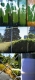 Trip1.jpg